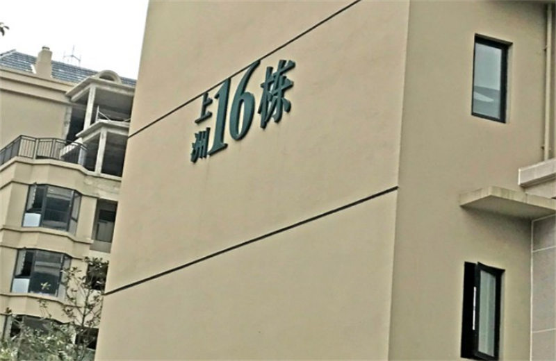 1706449116853.jpg